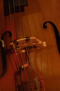 Klicken f&uuml;r grosses Bild