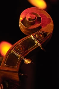 Klicken f&uuml;r grosses Bild